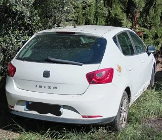 Despiece Seat Ibiza 2010 1.9 TDI