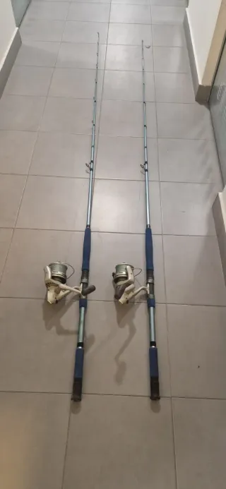 Cañas de pescar Currican 