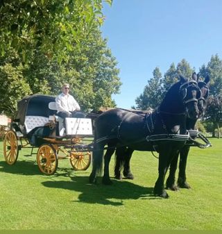 Carruaje para bodas, despedidas y eventos