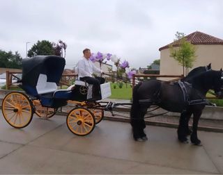 Carruaje para bodas, despedidas y eventos