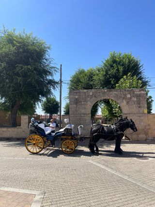 Carruaje para bodas, despedidas y eventos