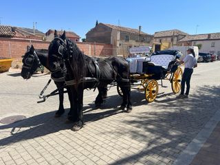 Carruaje para bodas, despedidas y eventos
