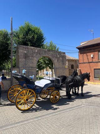 Carruaje para bodas, despedidas y eventos