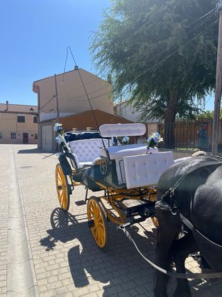 Carruaje para bodas, despedidas y eventos