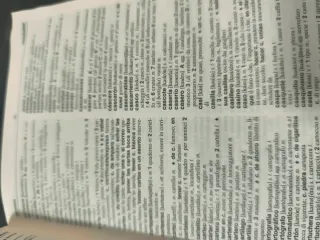 Spagnolo. Dizionario essenziale spagnolo-italia...