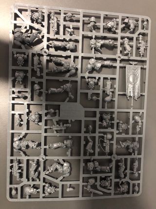 Anciano Primaris y 7 Primaris