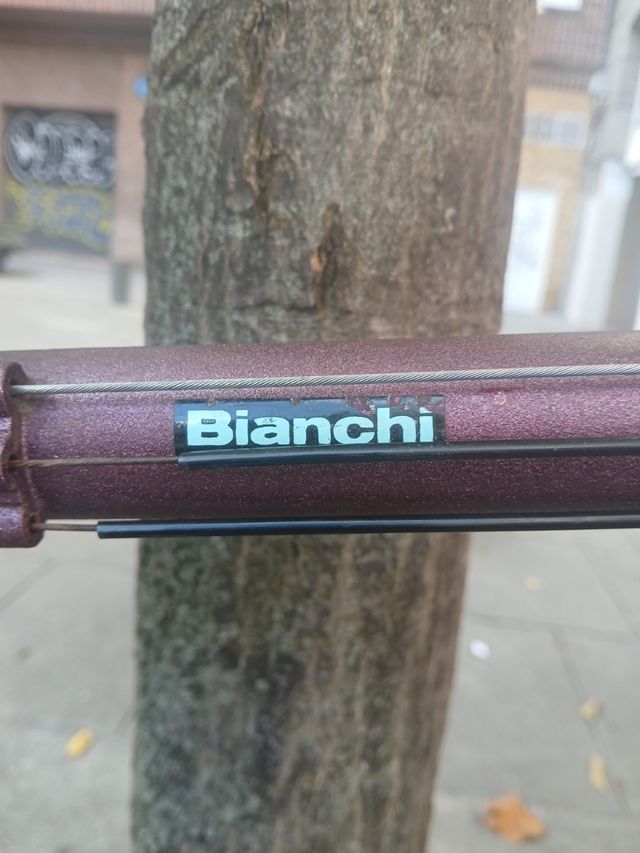 Bicicleta Bianchi Peregrini Colección