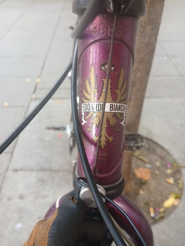 Bicicleta Bianchi Peregrini Colección