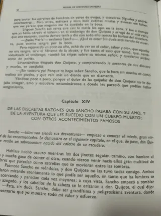 Don Quijote de la Mancha 