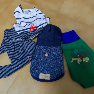 Ropa para Perros: Abrigos y Camisetas