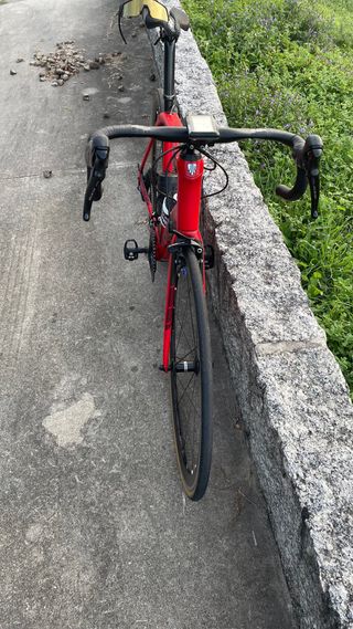 Bicicleta Trek Domane SL6 talla 56