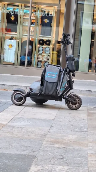 Patinete eléctrico dualtron 3 normal 