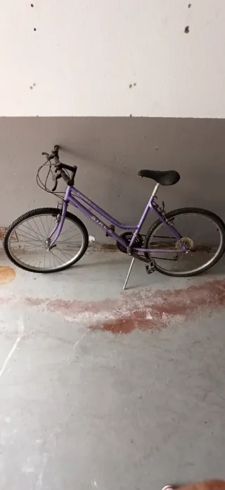 Bicicleta Morada