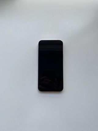 iPhone 13 Pro Max 128GB bianco e argento