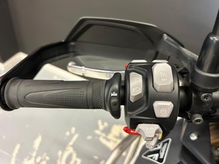 Triumph TIGER 900 RALLY ARAGON EDITION