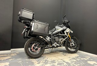 Triumph TIGER 900 RALLY ARAGON EDITION