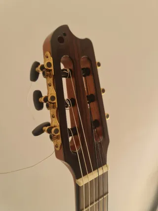 Guitarra Raimundo Clave FA-E Amplificada