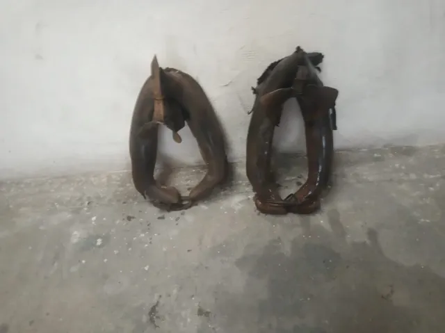 Collari per articolazioni animali