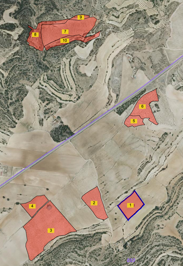Finca de almendros y pistachos