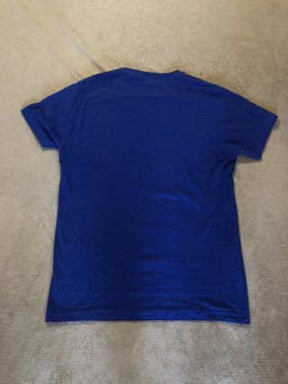 Camiseta Inside azul