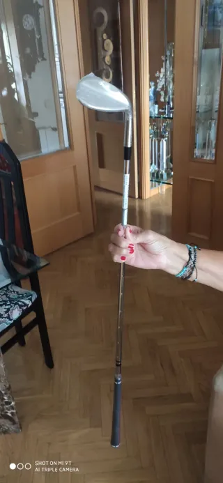Palo de golf Cobra