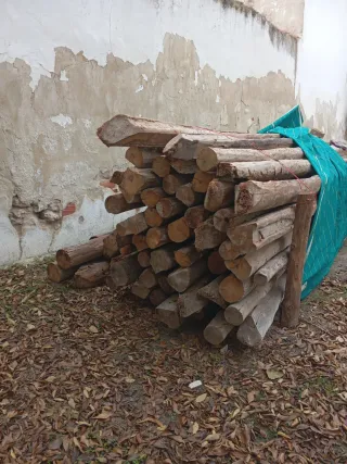 50 Rollizos de madera para forjado