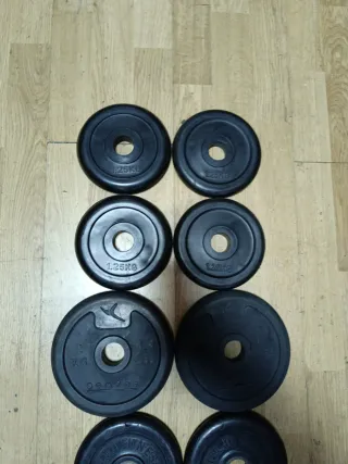Barra recta, barra Z y 20kg en discos