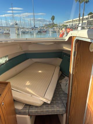 Rio 800 Cabinfish