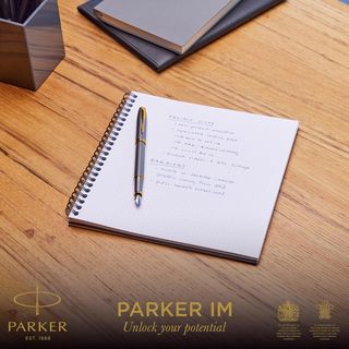 ✨ - Parker Pluma estilográfica IM | lacado gris y