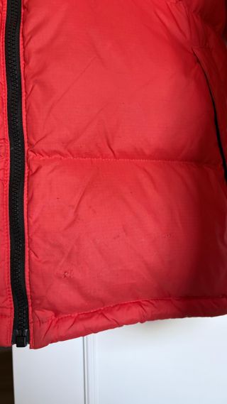 The North Face Nuptse Plumas 