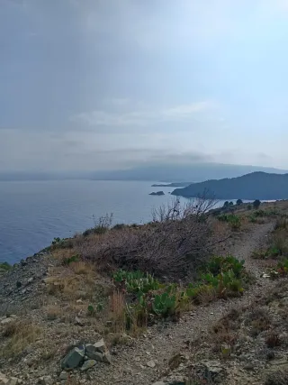 Spanish/catalan classes