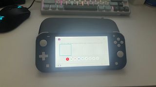 Nintendo Switch Lite grigio + cover