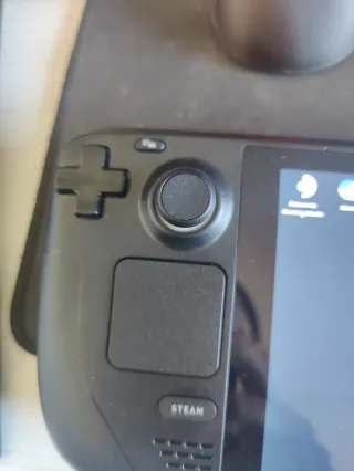 Steam Deck 256 GB. 100% Bat Life