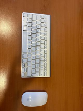 Teclado y Ratón Apple Magic