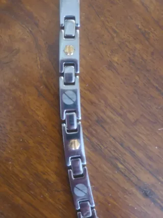 Pulsera Roselin Acero y Oro 21cm