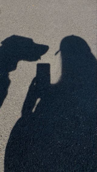 Cuidado y paseo de mascotas