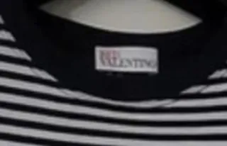 Vestito Red Valentino a righe, dietro a rete