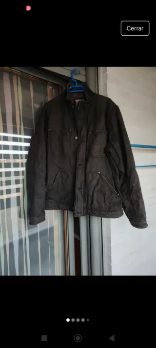 Cazadora Springfield Hombre Marrón