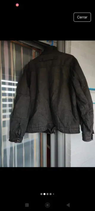 Cazadora Springfield Hombre Marrón