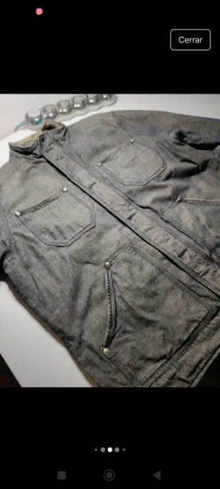 Cazadora Springfield Hombre Marrón