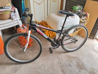Bicicleta Freerider Infantil