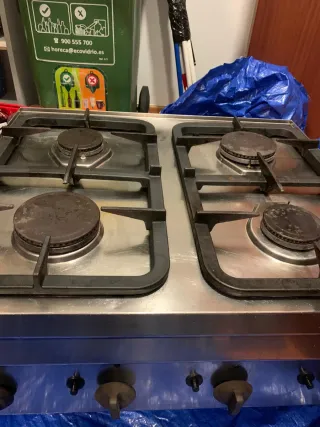 Cocina profesional 4 fuegos