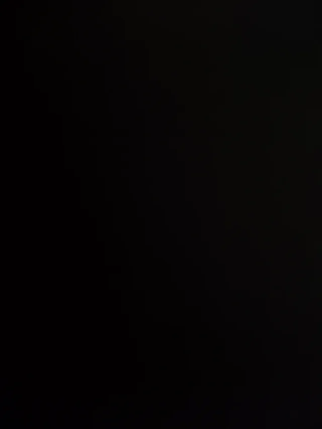 Anorak Jack & Jones Talla M Negro Unisex