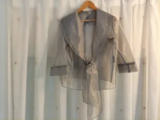 Chaqueta organza transparente fiesta gris