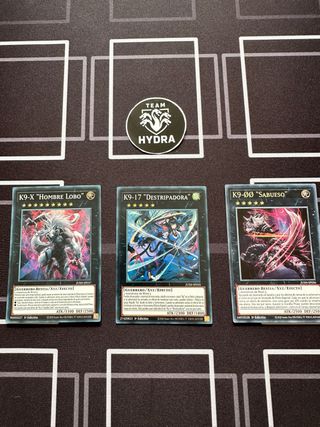 DECK K9 Yugioh!