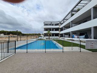Piso en alquiler en Mil Palmeras en Pilar de la Horadada