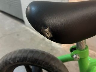 Bicicleta sin pedales Chicco verde