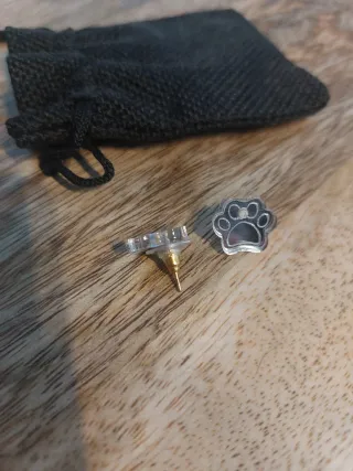 Pendientes Huella Plata