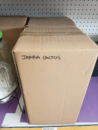 Jarra Dispensador Cactus Vidrio y Metal