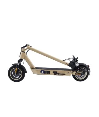 Patinete ZFOX MAX AUTumn Sunride DGT